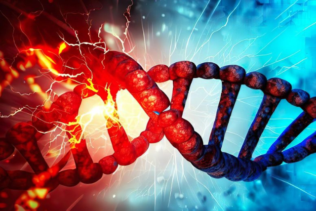 DNA Damage - © 2023 NCSU