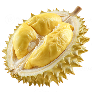 Durian - © 2026 MD Miraz Hossain