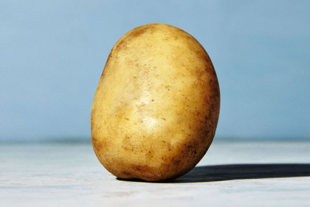 Poulette Potato - © 2026 Row 7 Seeds