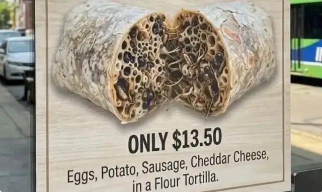 Zombie B'fast Burrito - © 2026 @dotmariusz